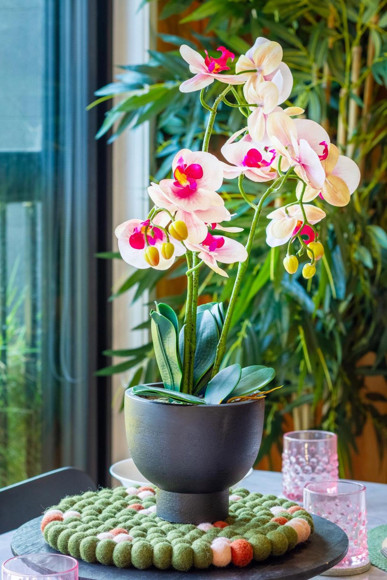 Cozy 1-Bed Apartment With Park Views, Sleeps 4 Christchurch Kültér fotó